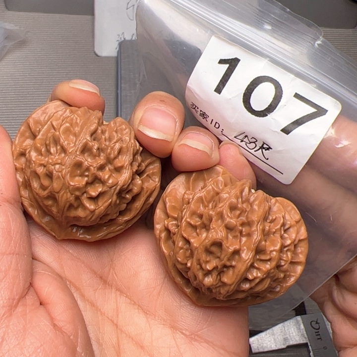 核桃全品43宫灯107号