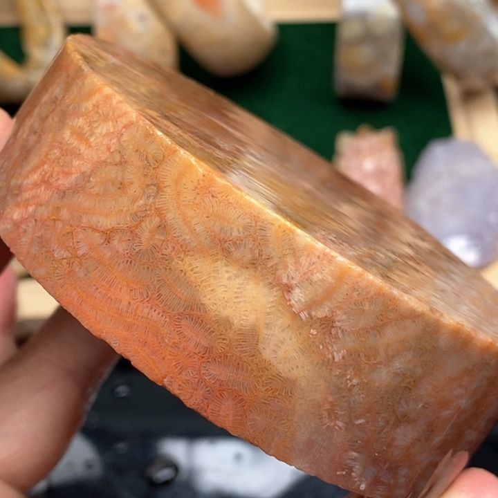 硅化珊瑚（珊瑚玉）手镯未镶嵌