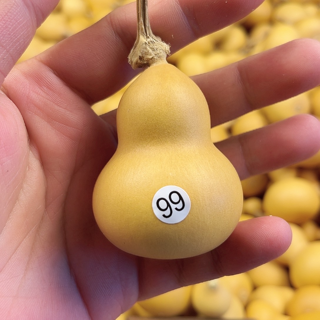 五葫芦葫芦葫芦葫芦99