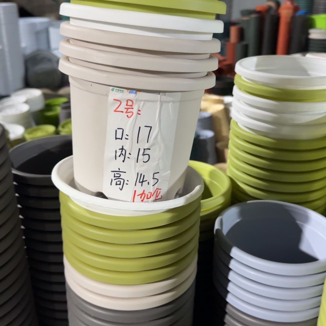 四季2#口径17无拖果绿6个