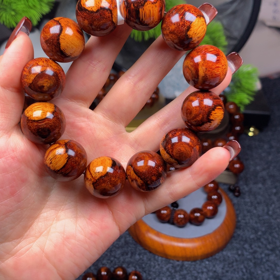 黄花梨/降香黄檀任