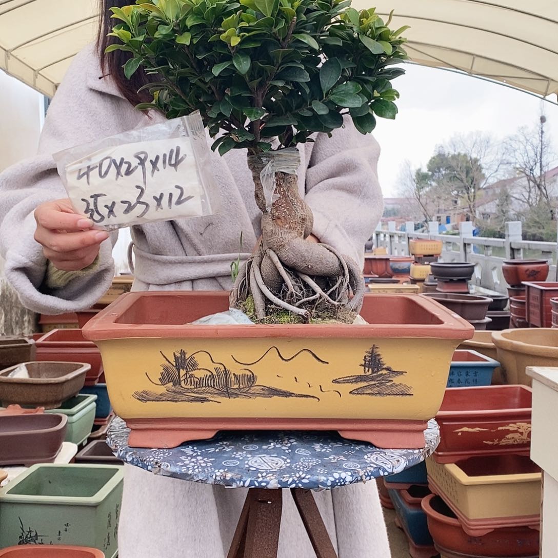 紫砂花盆紫砂艺术