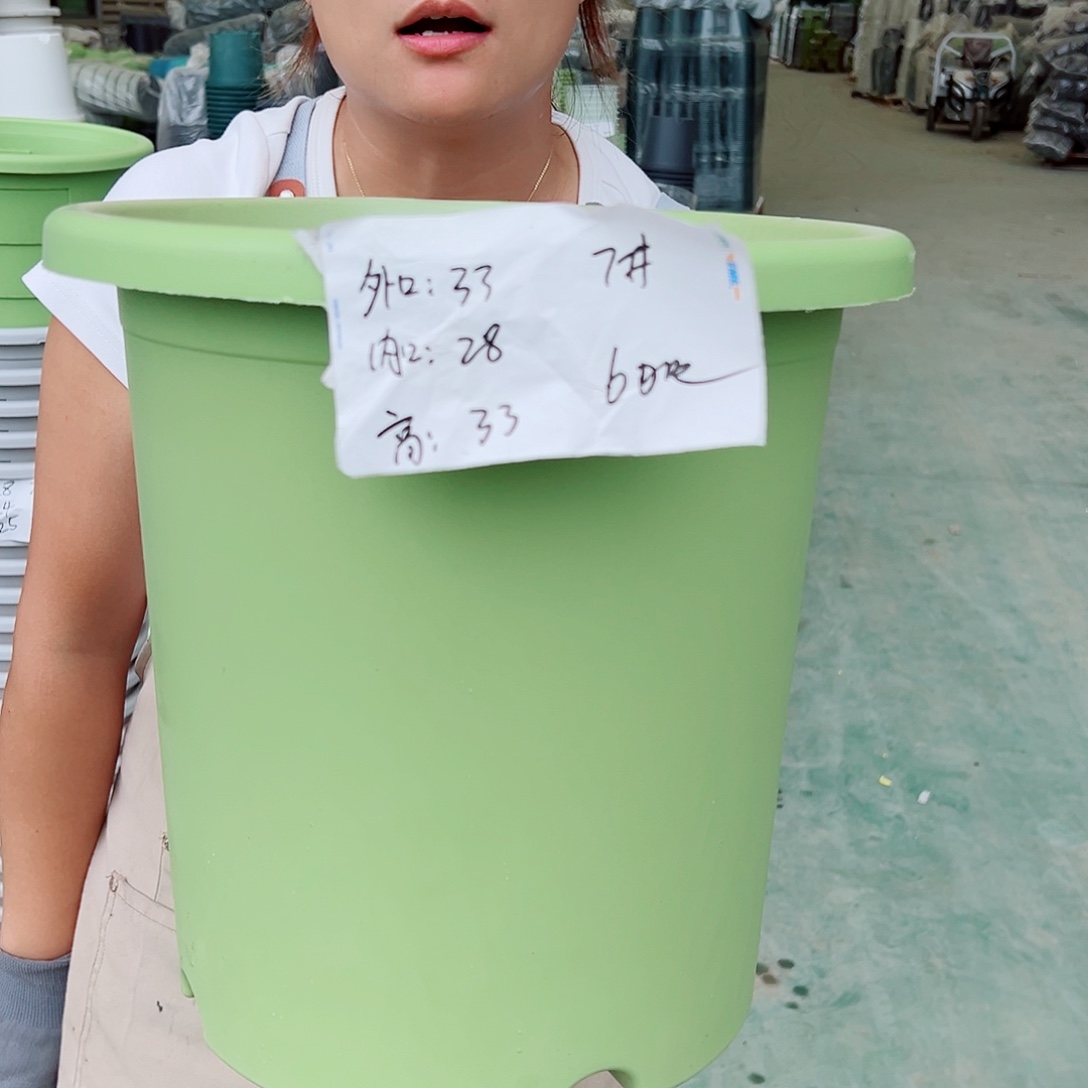 四季盆7#果绿色6个无托
