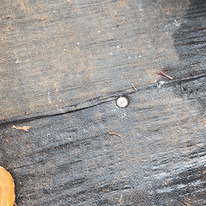 成***瑶克拉恋人大的周正的发货