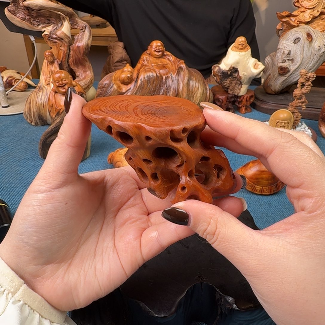 柏木（崖柏）关注一下