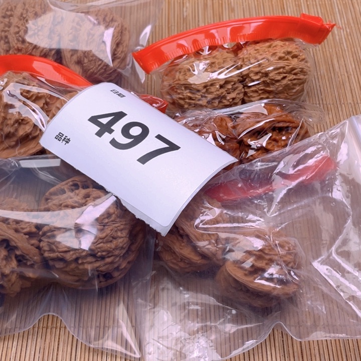 文玩核桃把件497号6对