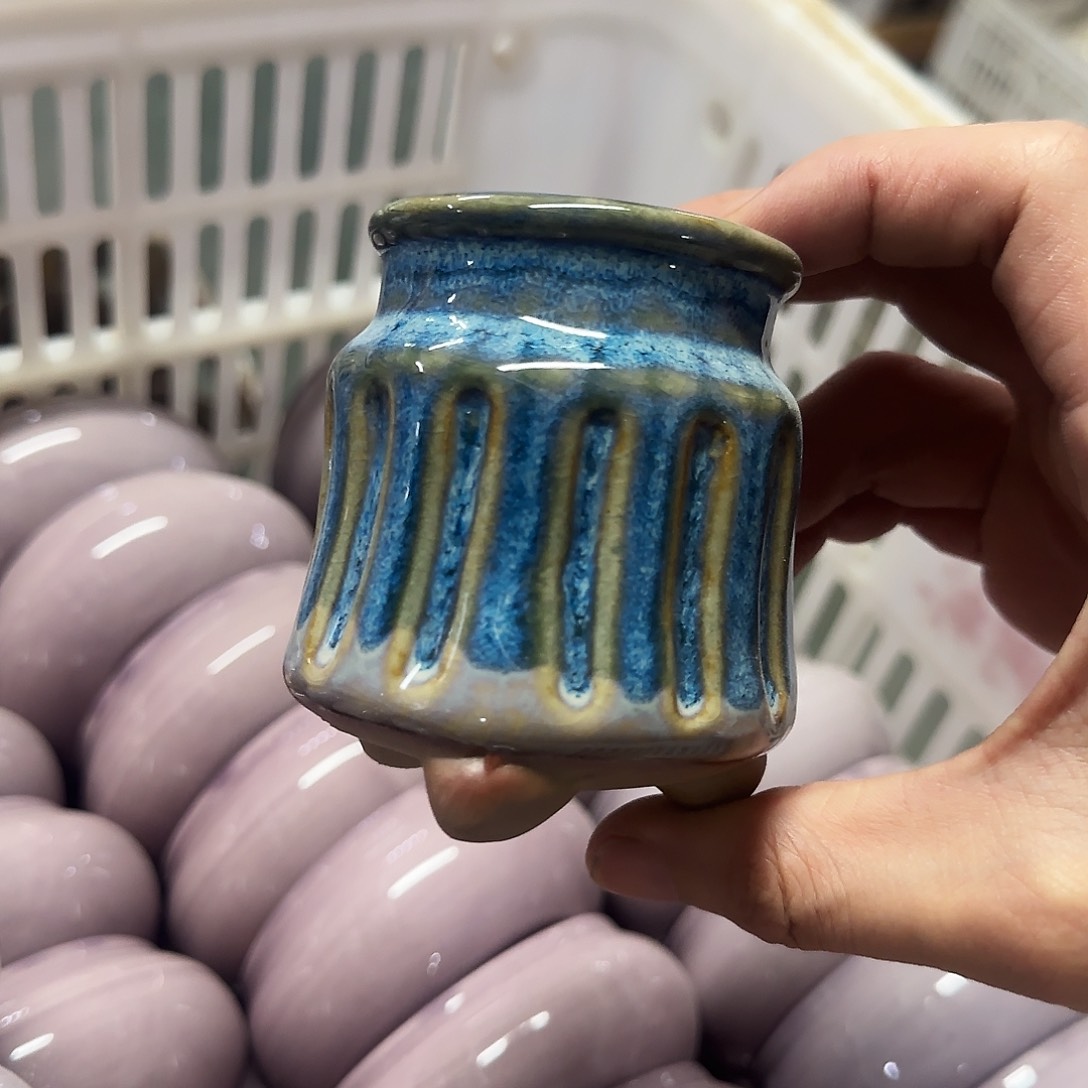 福利局绿植多肉盆［凑9元包邮24小时发］