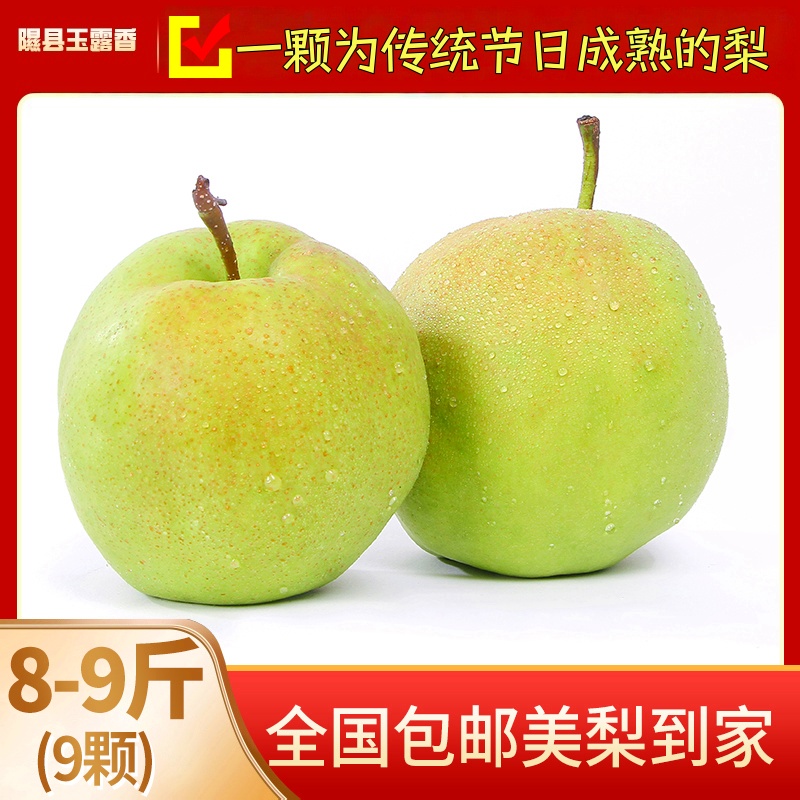 山西特产隰县小西天玉露香梨脆甜无渣，出口标准果，送重要人再拍。