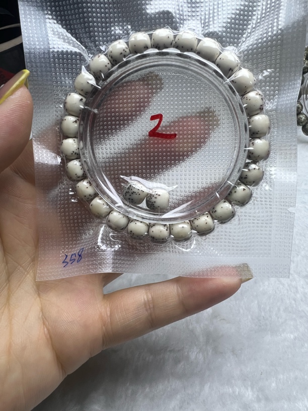 9河豚海南原生态星月菩提