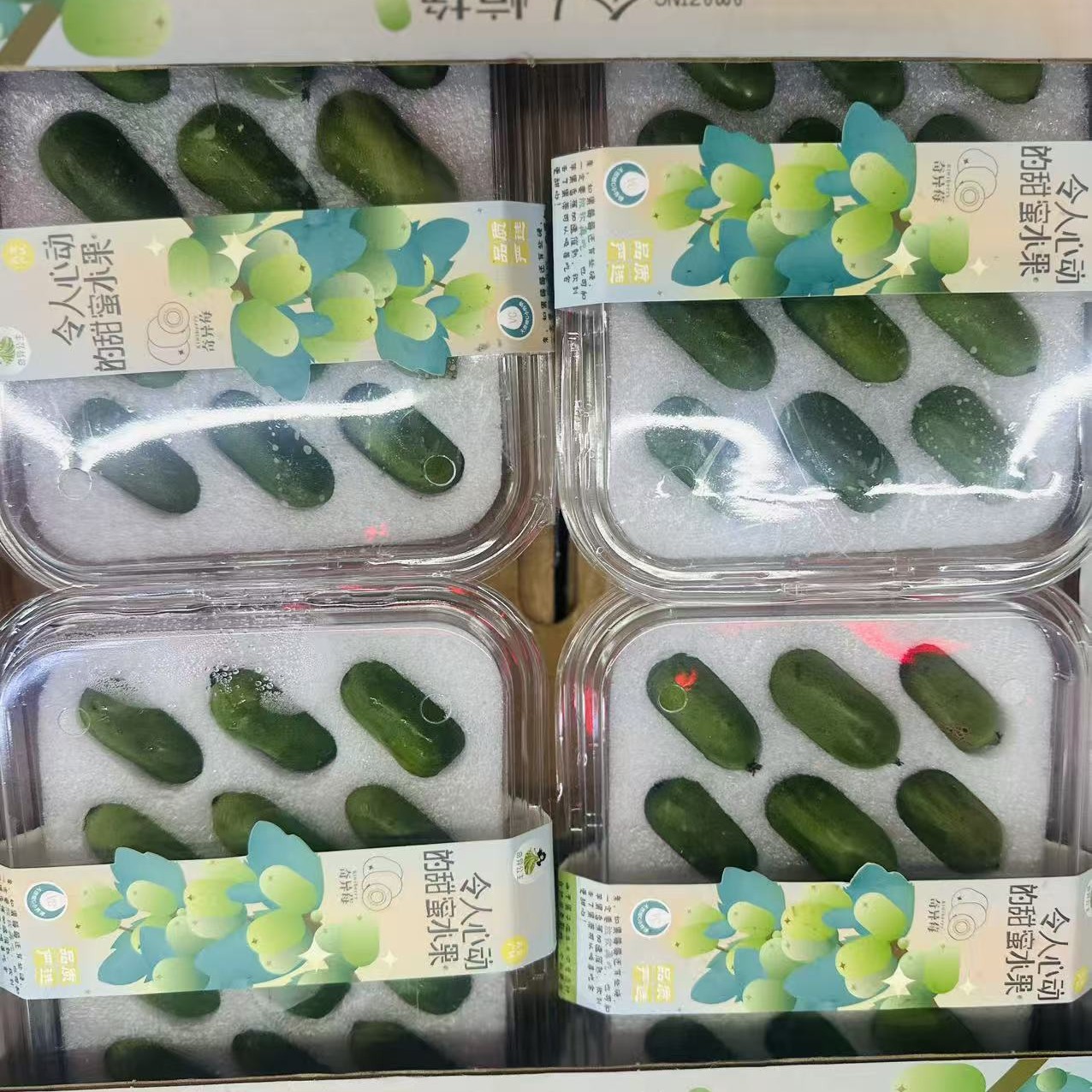 新鲜奇异莓 