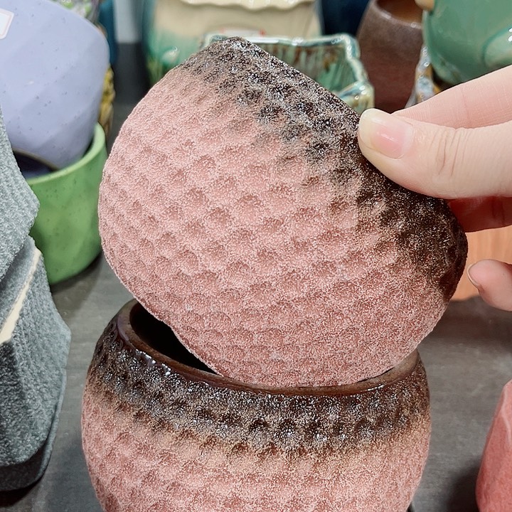 多肉花盆满10元包邮