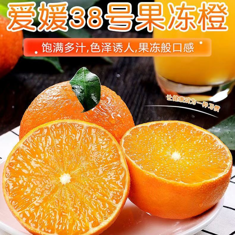 四川正宗爱媛38号果冻橙新鲜应季水果皮薄肉厚新鲜采摘H
