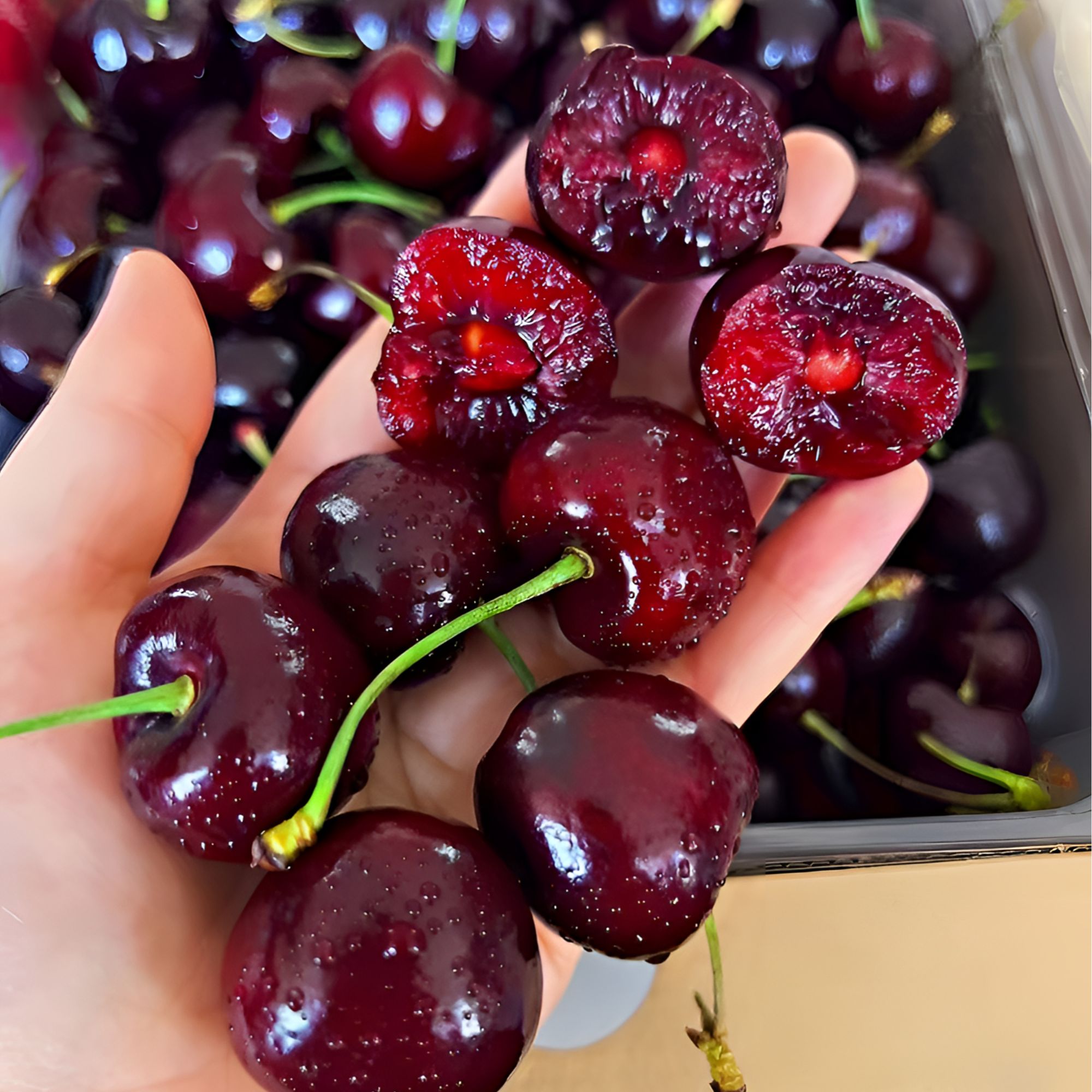 【原箱5斤】智利桑提娜车厘子空运2JD-4JD鲜樱桃应季水果内附果径卡