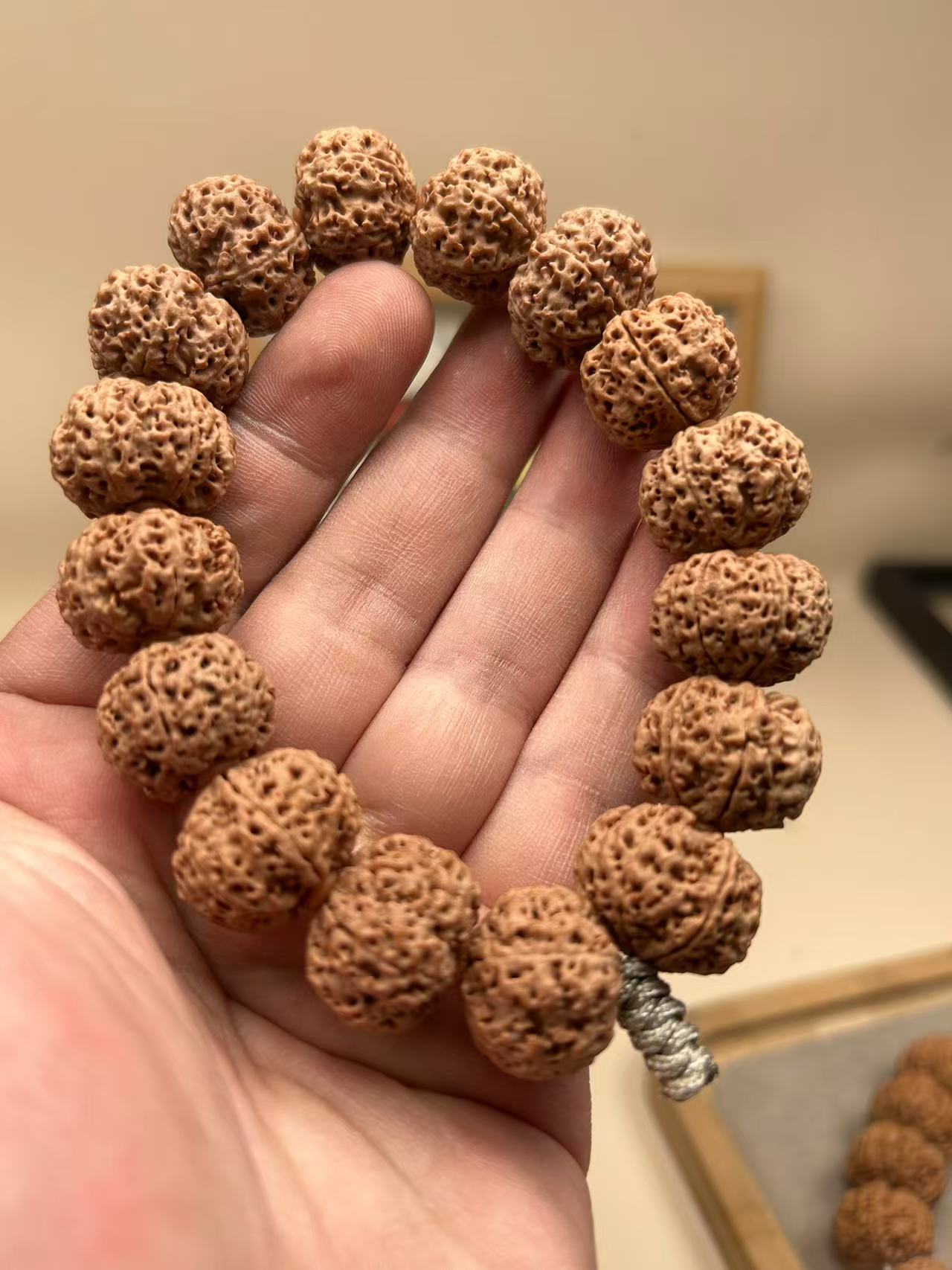 尼泊尔小尺寸六瓣（六瓣）蜂王