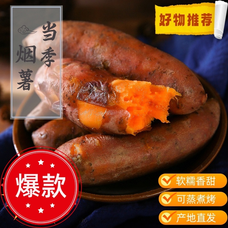 烟薯25号糖心管理期软糯香甜烤地瓜糖心流油沙地地瓜产地直发红薯