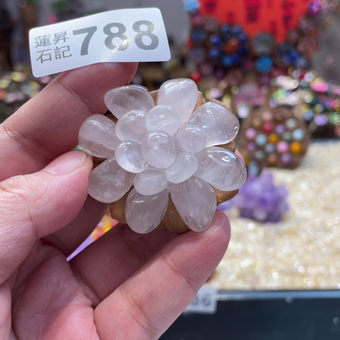 核桃木/黑胡桃（胡桃木）788