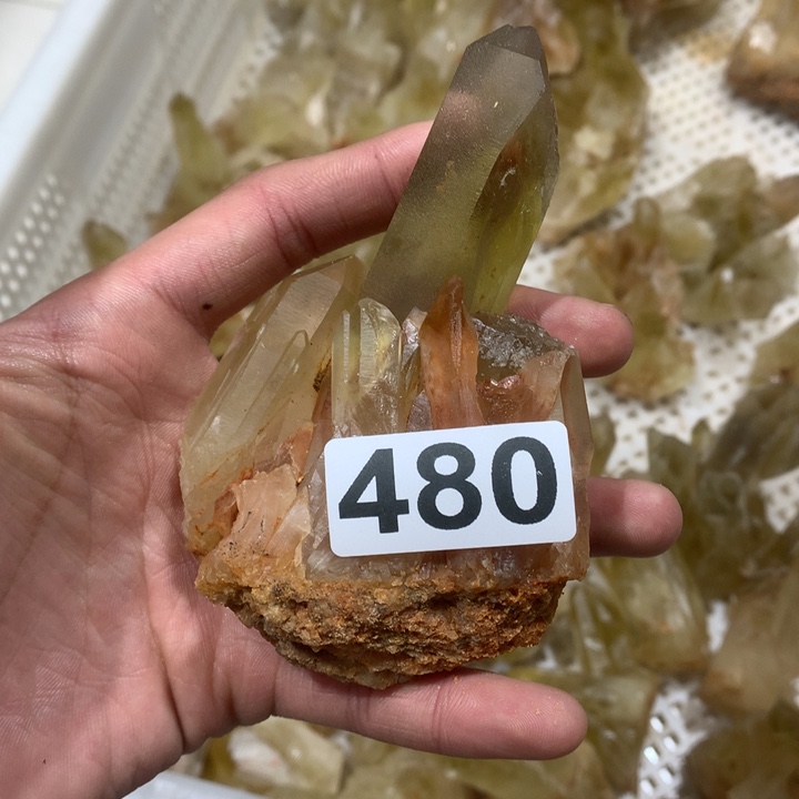 水晶水晶簇未镶嵌多**麻