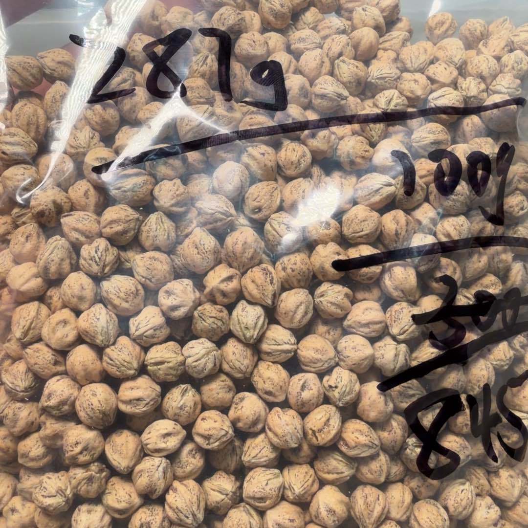 吊坠柏香籽/百香籽请***嫂