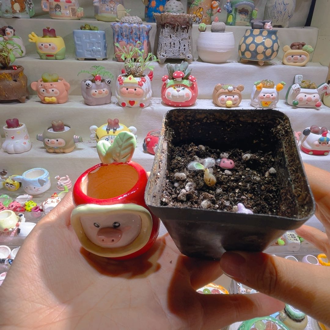 小****?米宝专属折扣链接拍拍