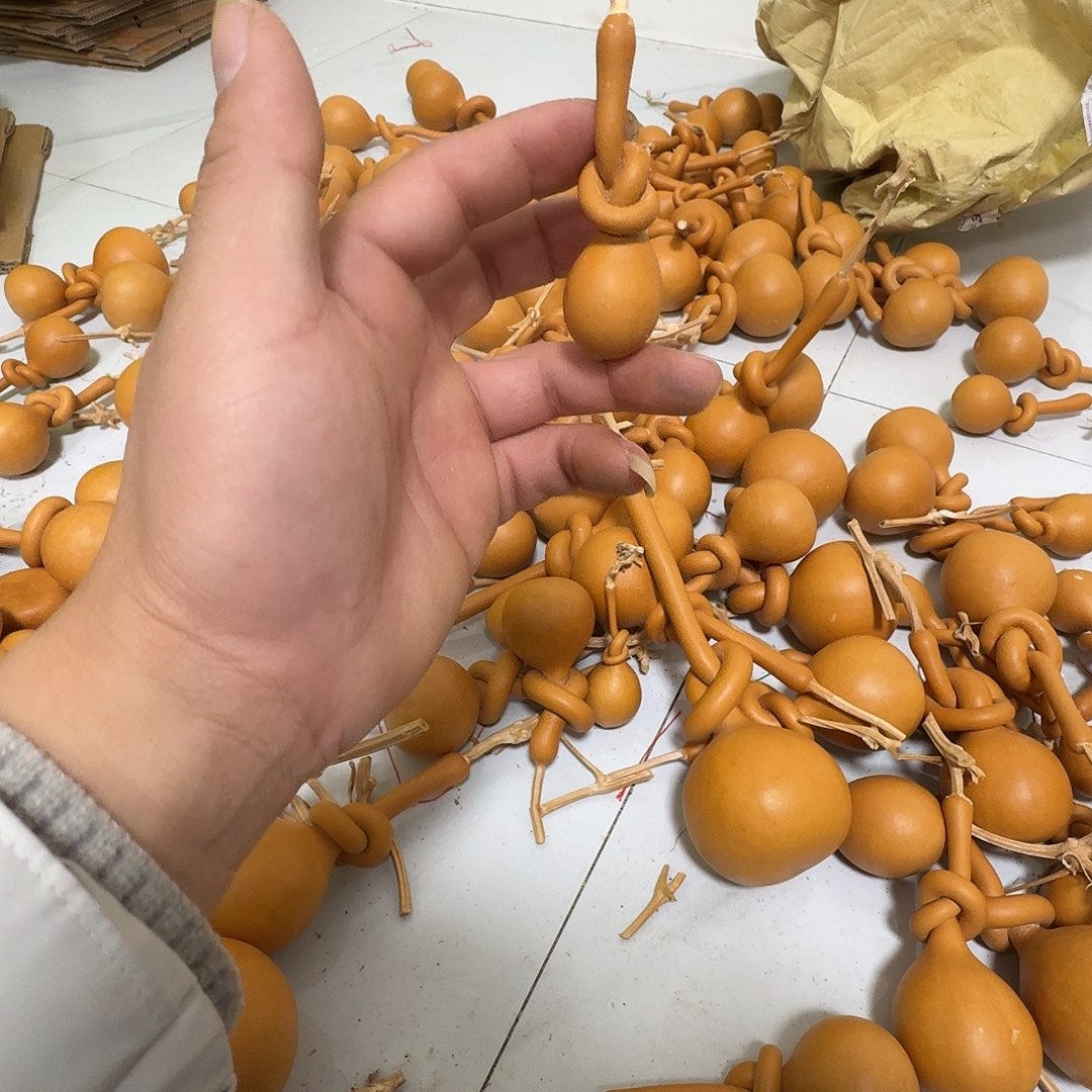 开***菜葫芦科分布广泛于亚洲的