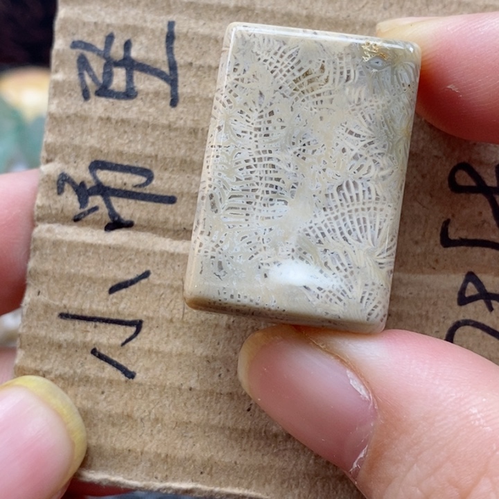 硅化珊瑚（珊瑚玉）颈饰未镶嵌