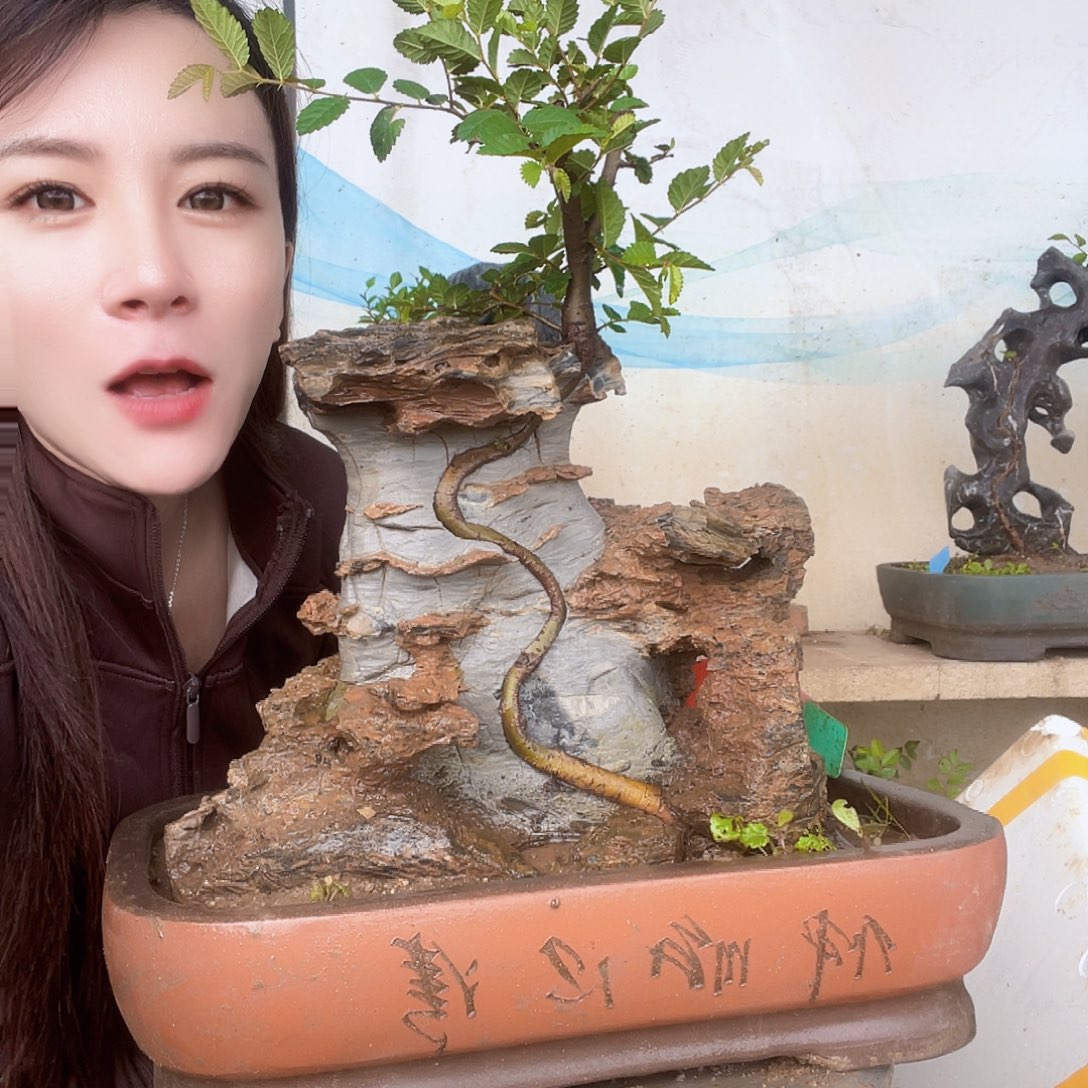 人***悔图中央音乐学院哟哟哟
