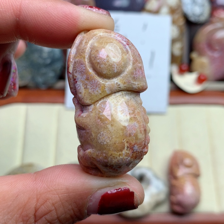 硅化珊瑚（珊瑚玉）颈饰未镶嵌