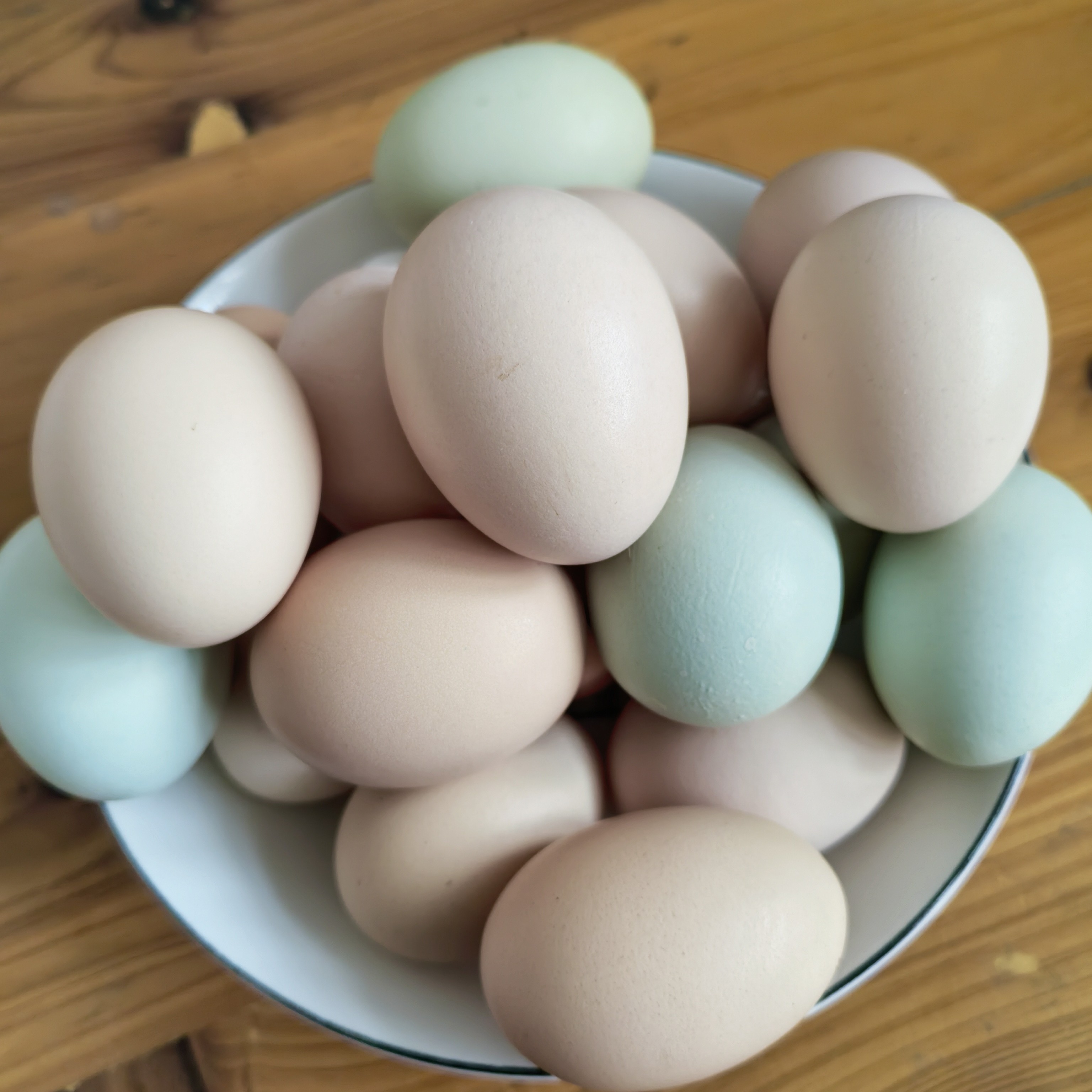 散养的正宗粮食喂养农家，自产自销，无饲料，无激素，土鸡蛋散养