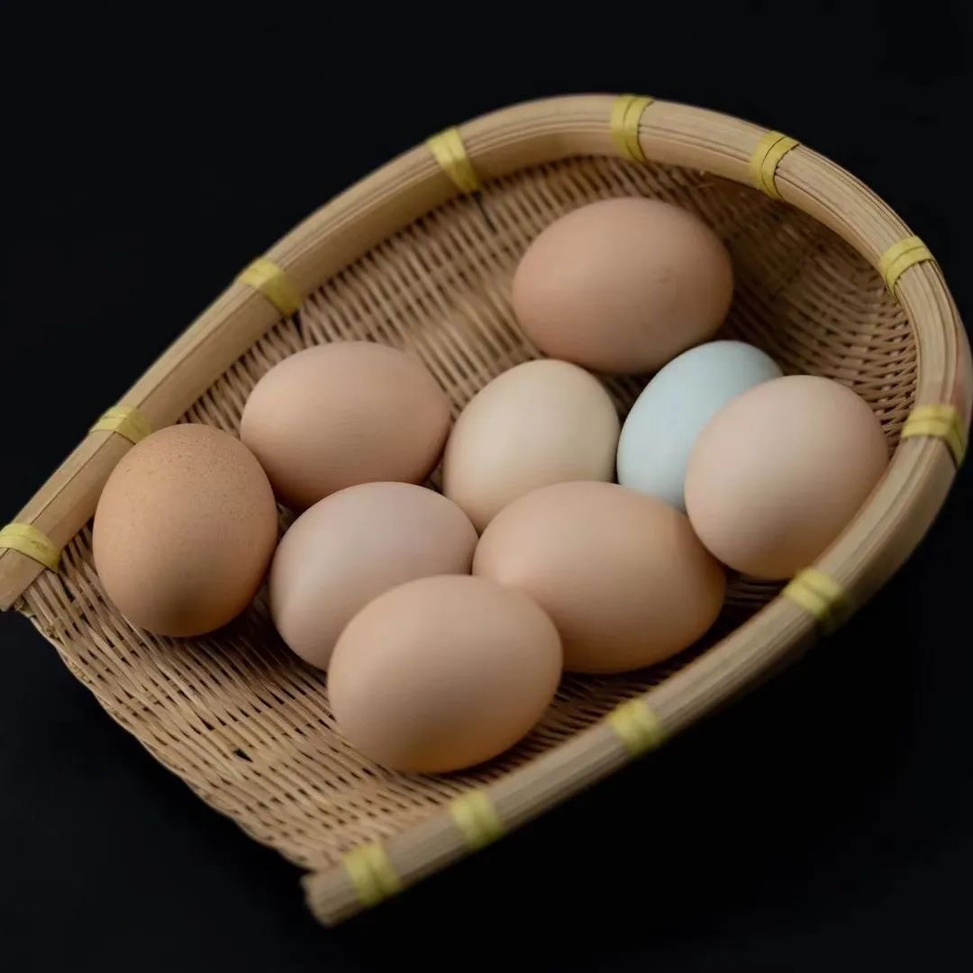 青椒炒蛋