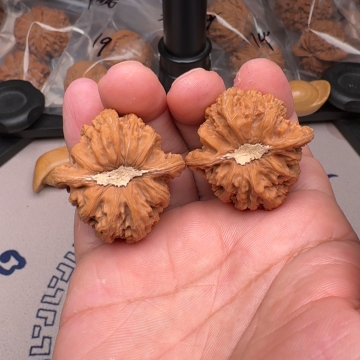 桃核把件山地密纹38+尺24