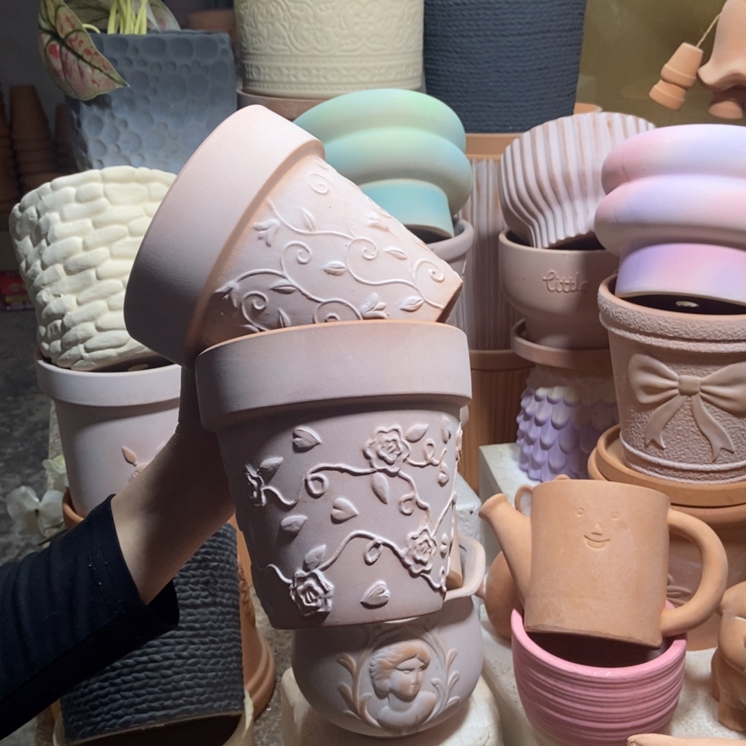 14×13雾化国际玫瑰+钩藤2个