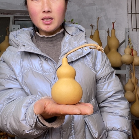 n**i天然植物葫芦文玩