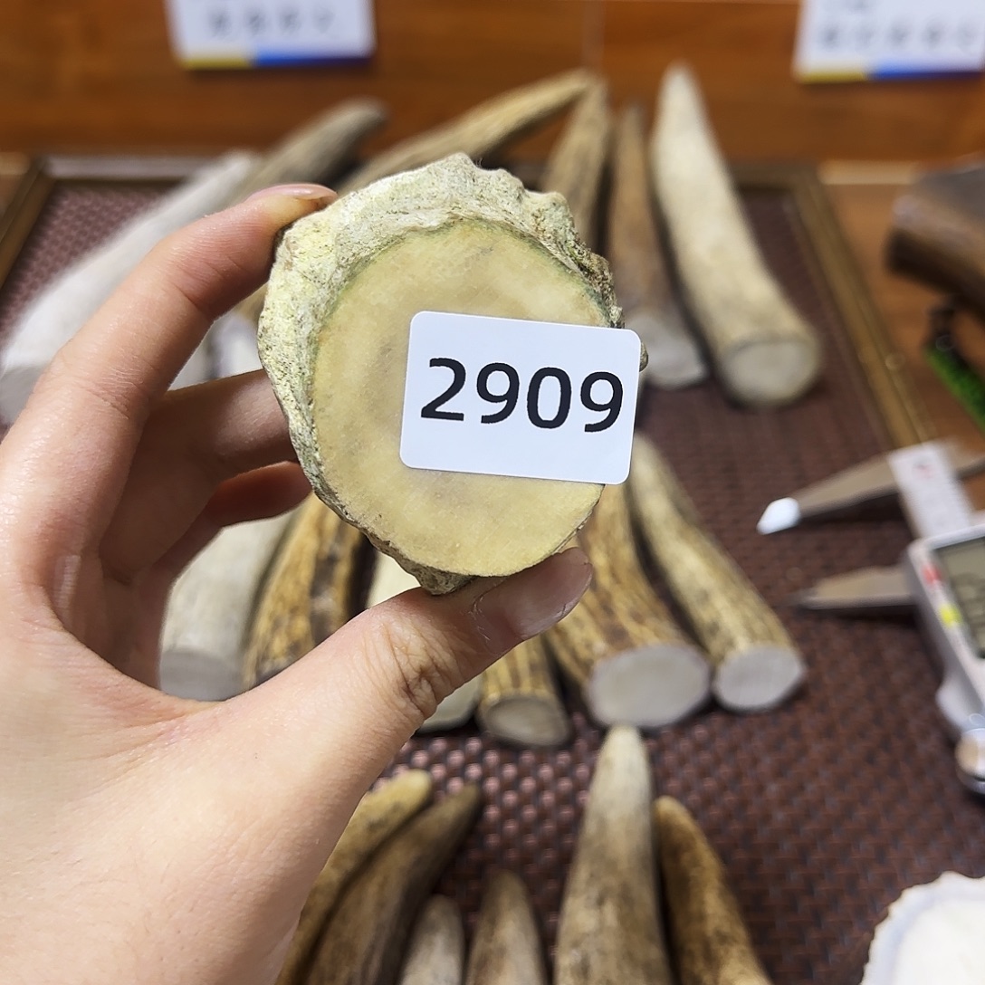 鹿骨手串/手链角帽2909