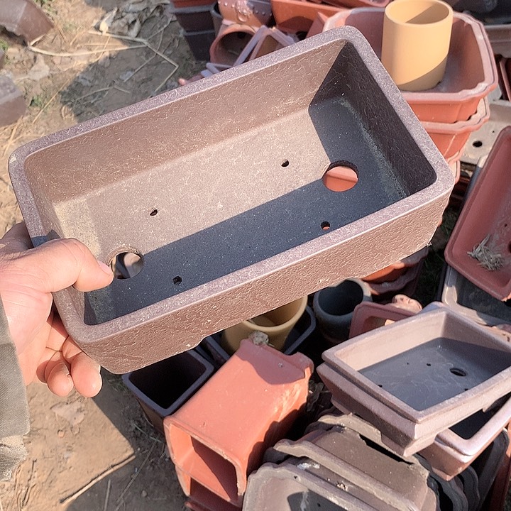 紫砂哈哈真的超级可爱哈哈哈哈哈