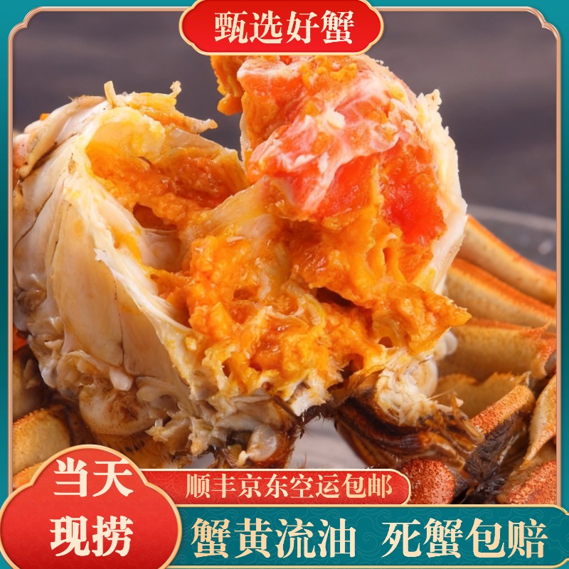  【活蟹现发】江苏精品手挑鲜活大闸蟹公母对半2斤/6-10只左右 3两