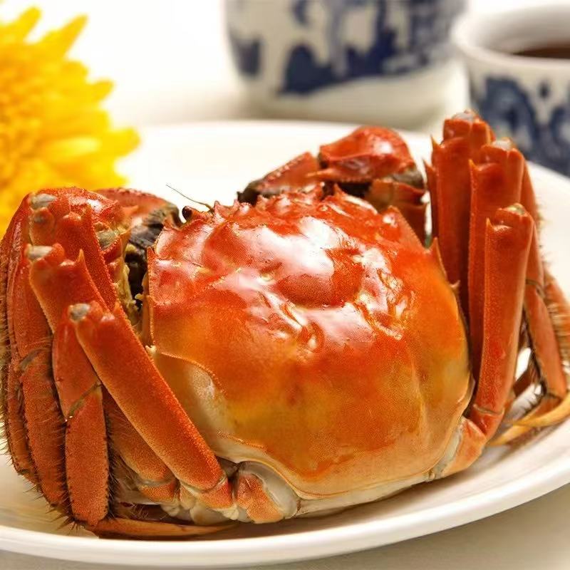 江苏鲜活全母河蟹0.8-1两1-1.3两1.4-1.6两15/20/22只顺丰包邮