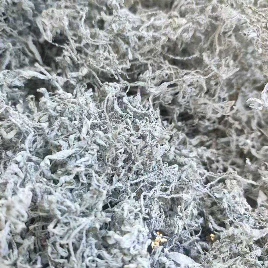 湘西凤凰莓茶雪茶（龙须牙尖  藤茶）