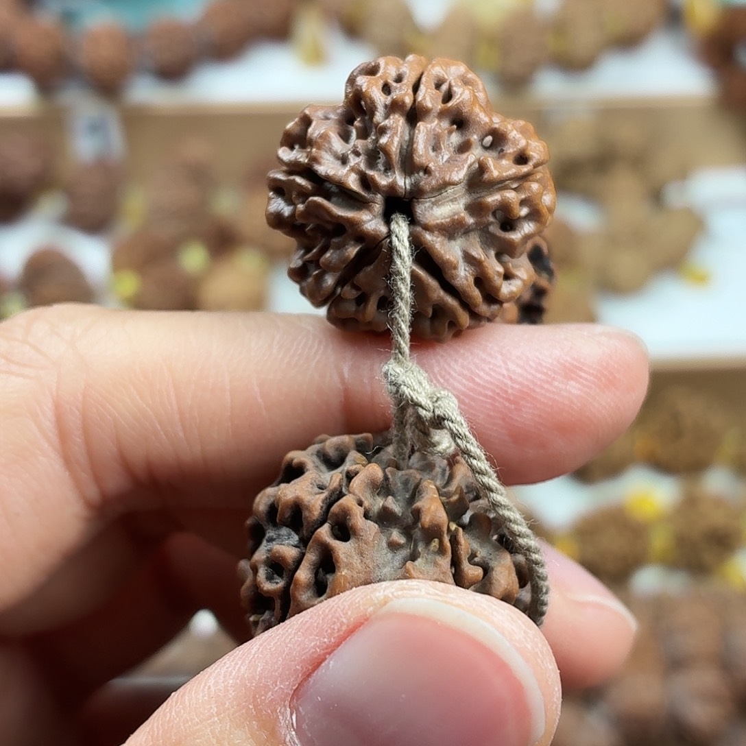 金刚菩提手串稀有精品梅花蜂窝双龙黄皮铁籽
