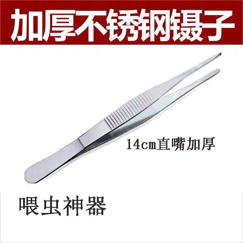 小泡家蜜袋鼯不锈钢镊子夹松鼠仓鼠面包虫坦克虫大麦虫喂食工具