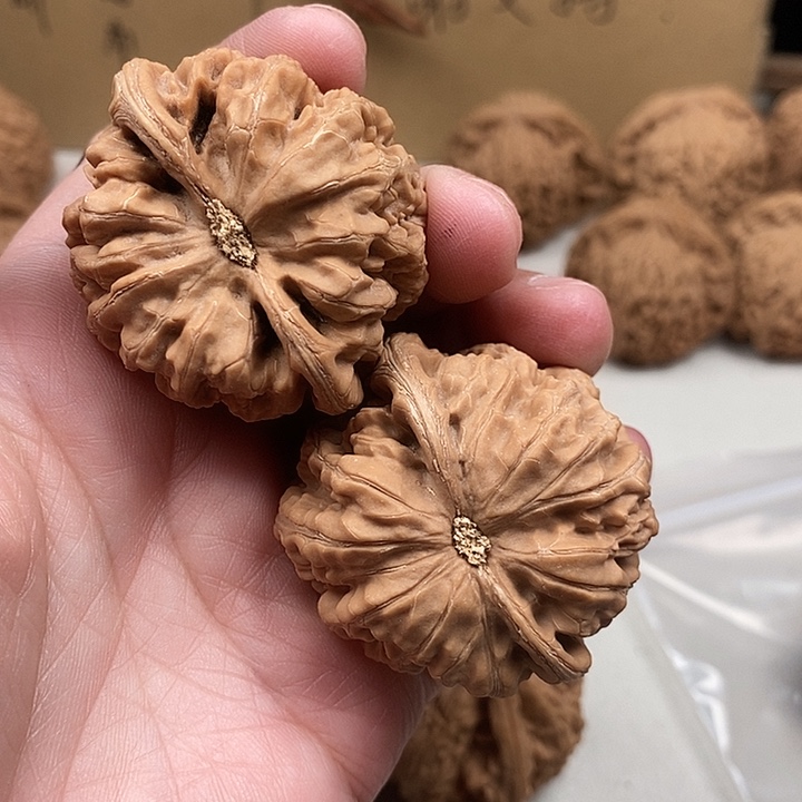 得***助木质类68.68.68.68