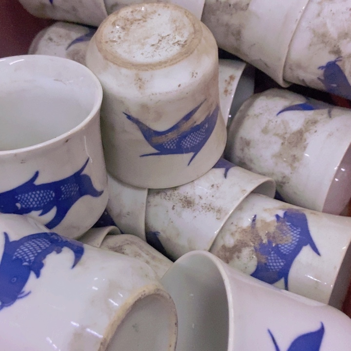 陶6个200cc青花鱼纹杯