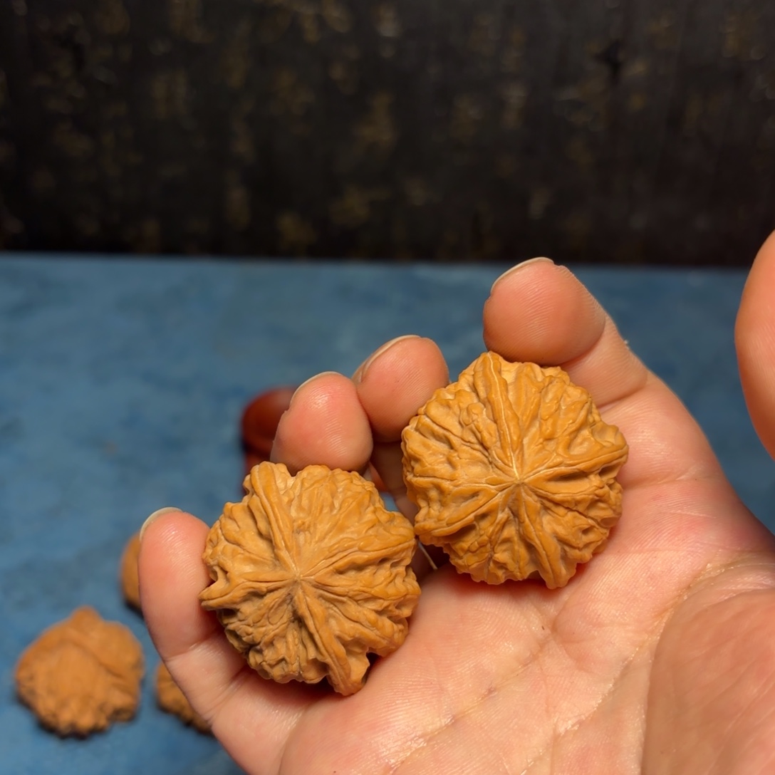 观***）大叶紫檀（黑酸枝木类）