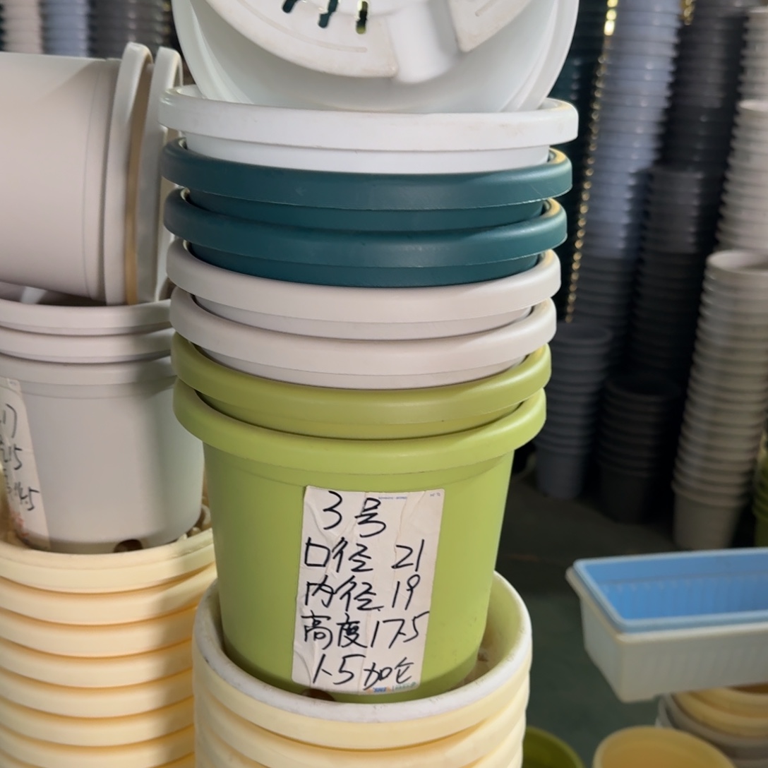 四季3#口径21无拖果绿10个