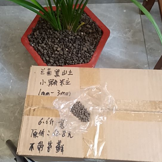 小***风兰菌黑山土小颗粒6.6斤