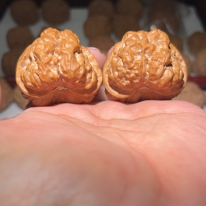 木44三角蛤蟆头。    