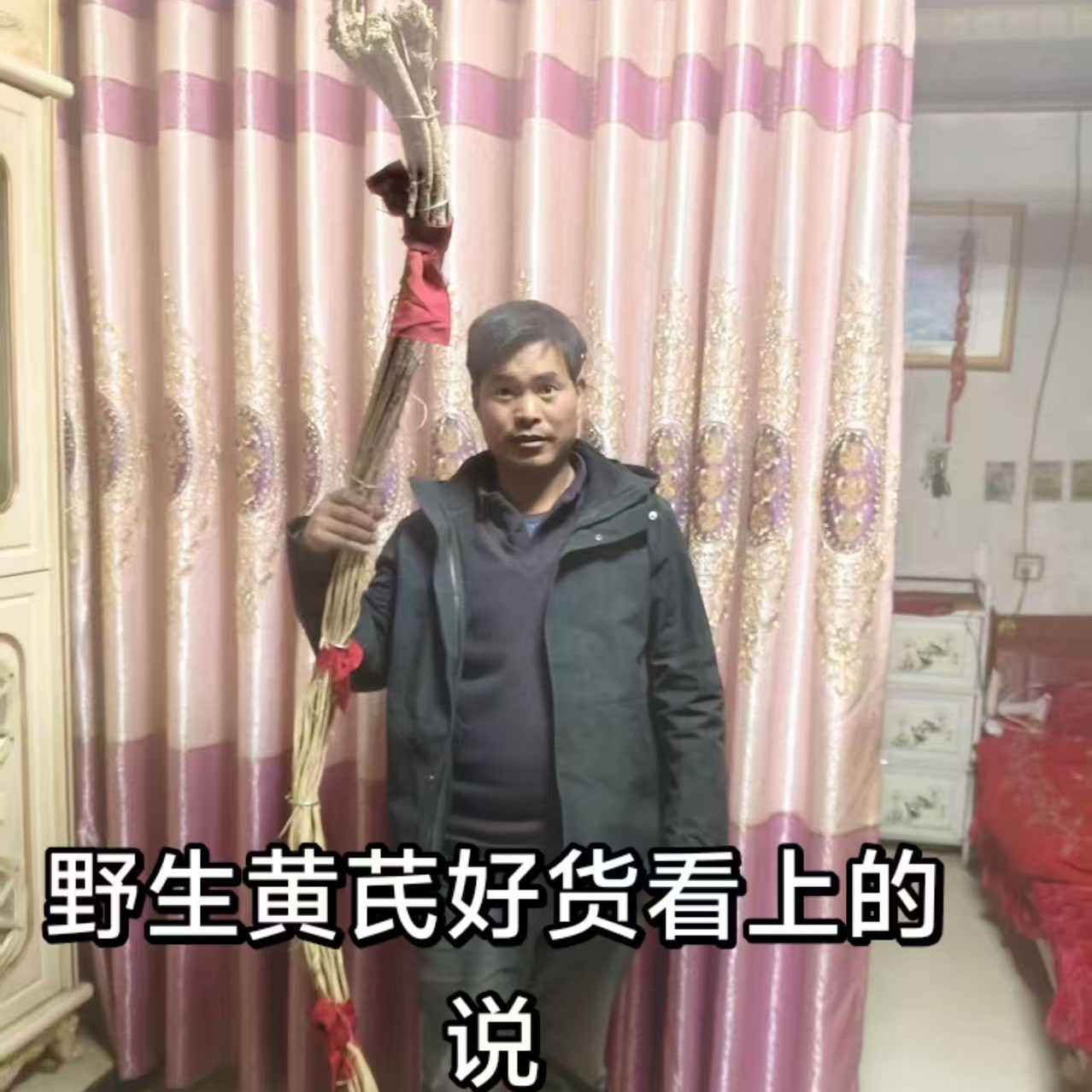 甘肃岷县深山野黄芪