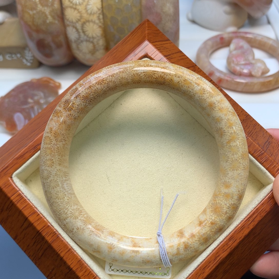 硅化珊瑚（珊瑚玉）手镯未镶嵌62.4口原800