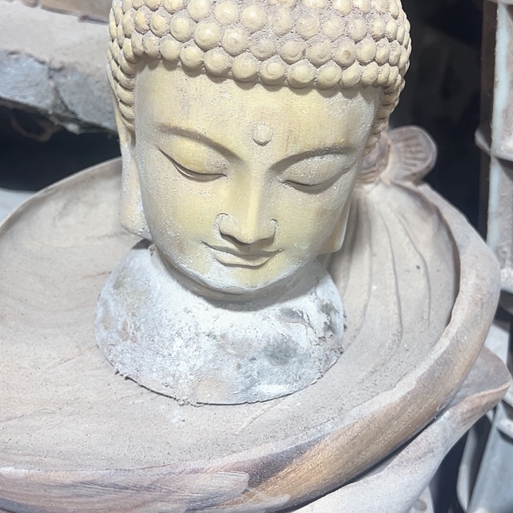 木金丝楠佛头白胚一个