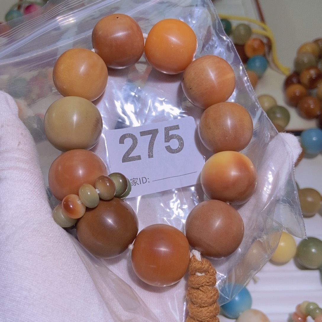 菩提根/象牙果手串23mm 瑕 275