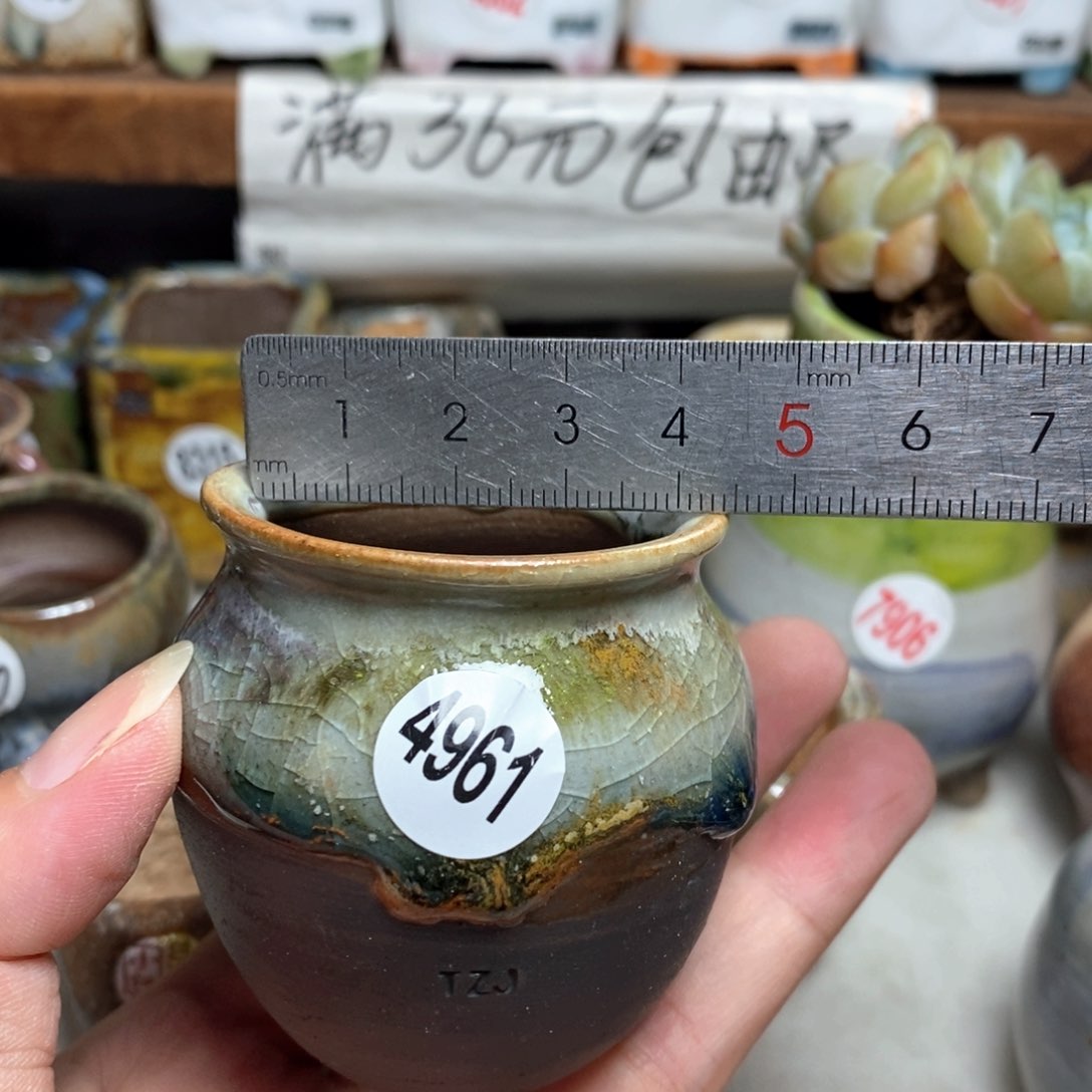 拍5送一个小礼物